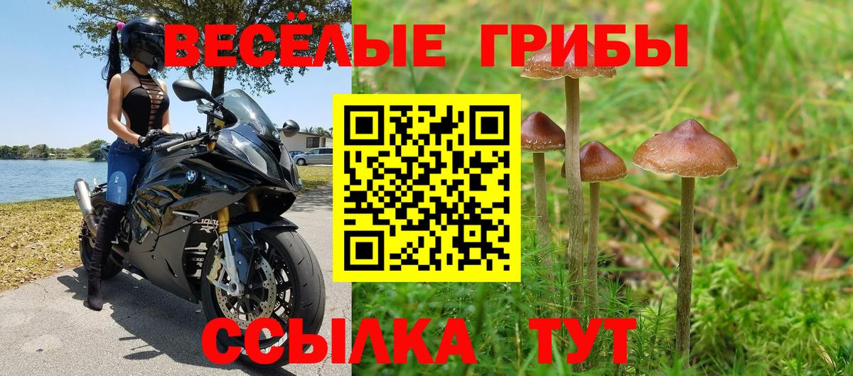 Галлюциногенные грибы мухоморы  Галлюциногенные грибы Psilocybine cubensis  где продают наркотики  Вход с VPN  Тулун 