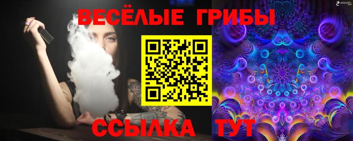 Галлюциногенные грибы ЛСД Тулун